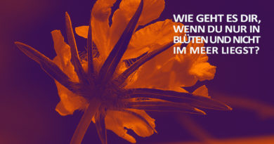 Anti-Platitüde Lila Sonnenuntergang (c) Andreas Erber