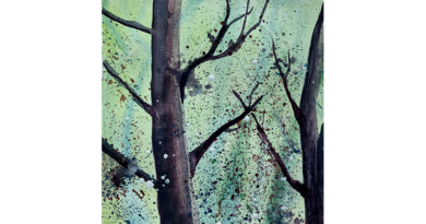 Wald und Bäume