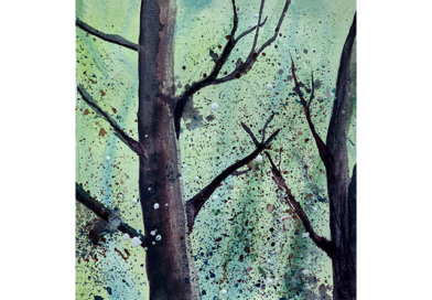 Wald und Bäume