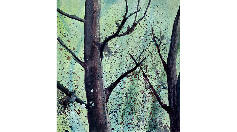 Wald und Bäume