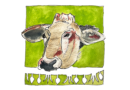 Monsieur Vache