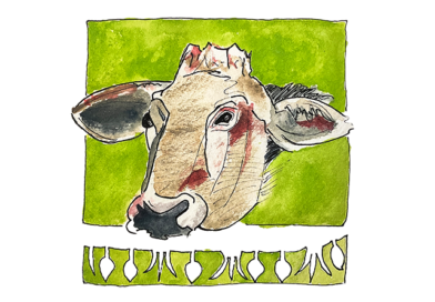 Monsieur Vache