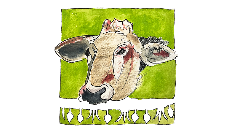 Monsieur Vache